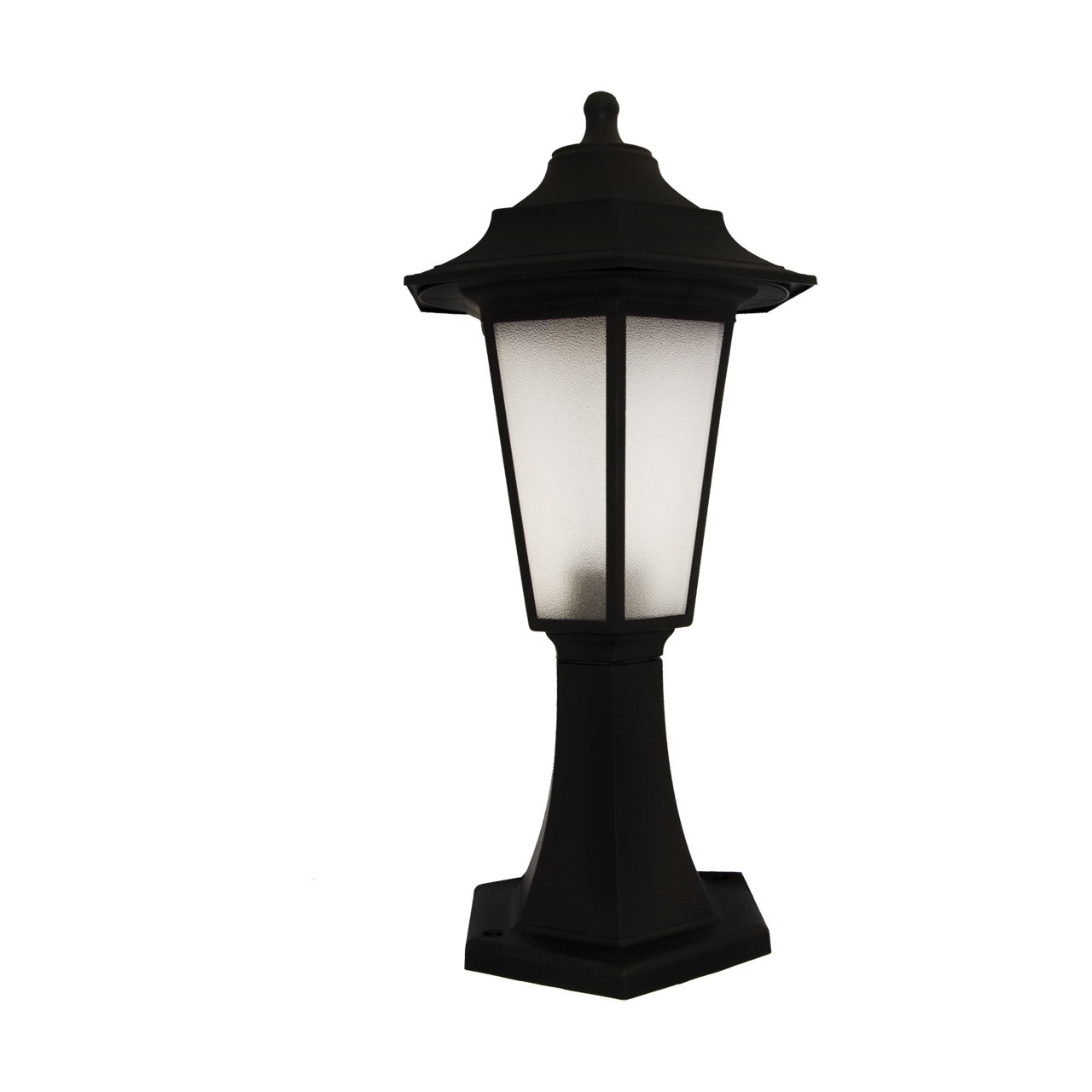 BEGONYA1 BLACK