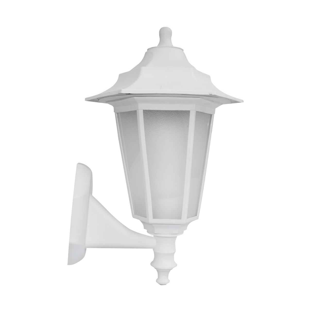 BEGONYA2 WHITE