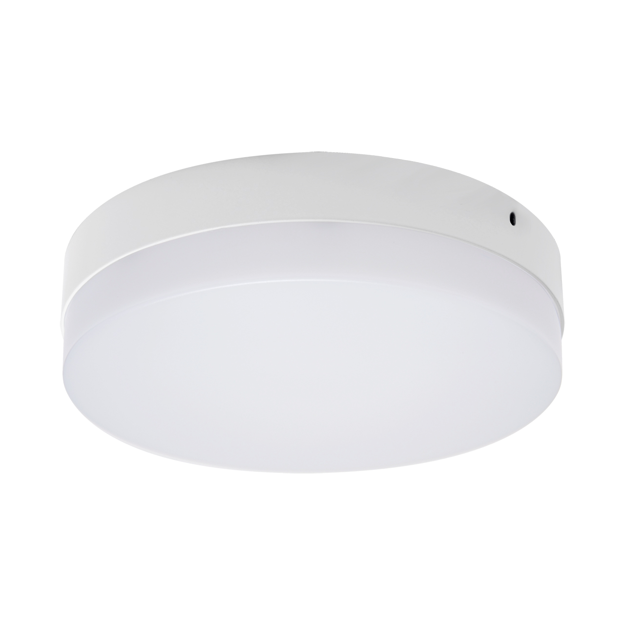 ROBIN LED C 24W NW