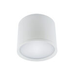 ROLEN LED 10W WHITE NW