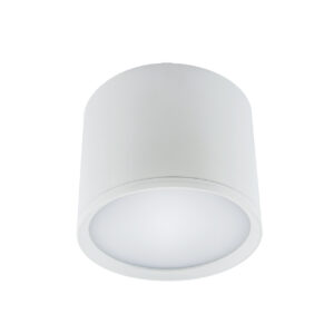 ROLEN LED 10W WHITE NW