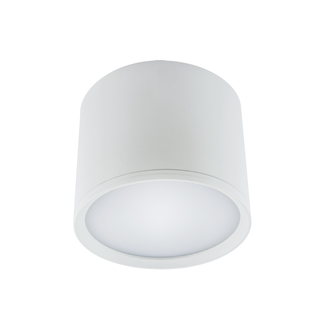 ROLEN LED 10W WHITE NW