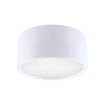 ROLEN LED 15W WHITE NW
