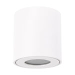 ZORBA DWL GU10 WHITE