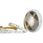 Taśma LED 2835 Premium 5m 300led IP20 6500K