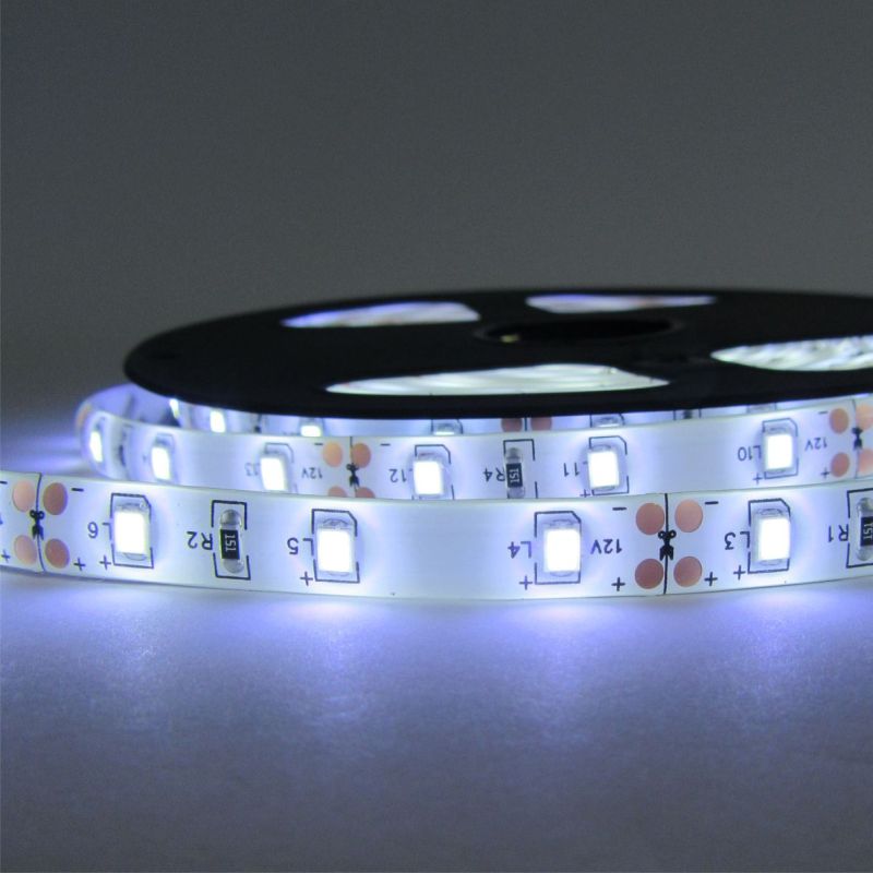 Taśma LED 300 4.8w/m 6500k 200lm/m 12v ip20 /5m/ e 2 Taśma LED 300 4.8w/m 6500k 200lm/m 12v ip20 /5m/ e - obrazek 2